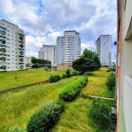 Brzezno Park - Rodzinny Plaza