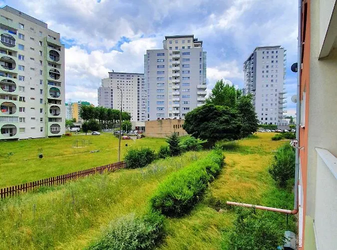 Brzezno Park - Rodzinny Plaza